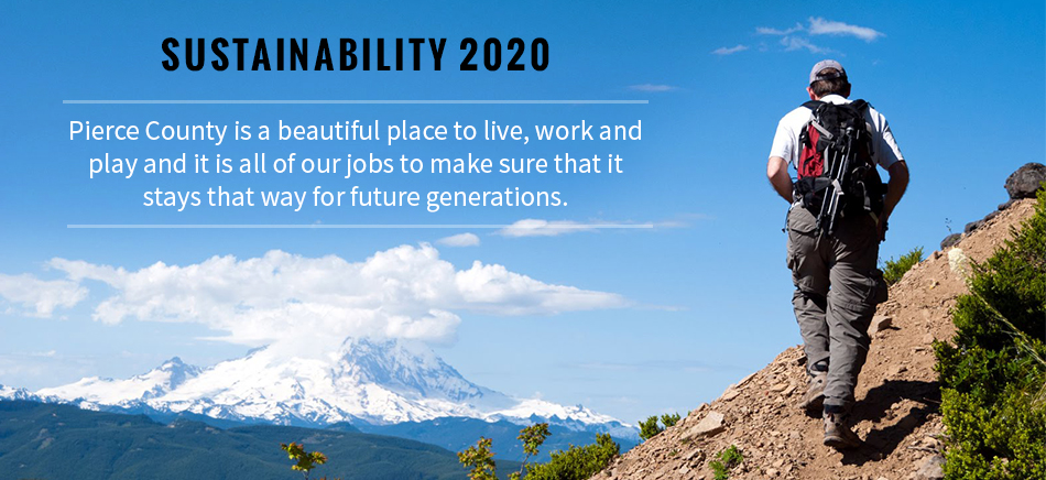 Sustainability 2020